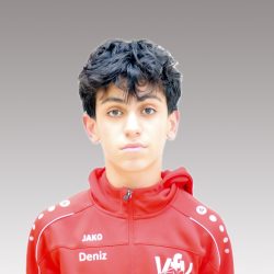 Deniz / 2011